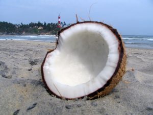 coconut-beach-1327595