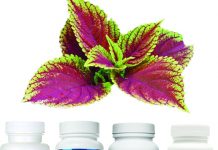 Las 14 Mejores Pastillas Y Suplementos Para Bajar De Peso Las 14 Mejores Pastillas Y Suplementos Para Bajar De Peso